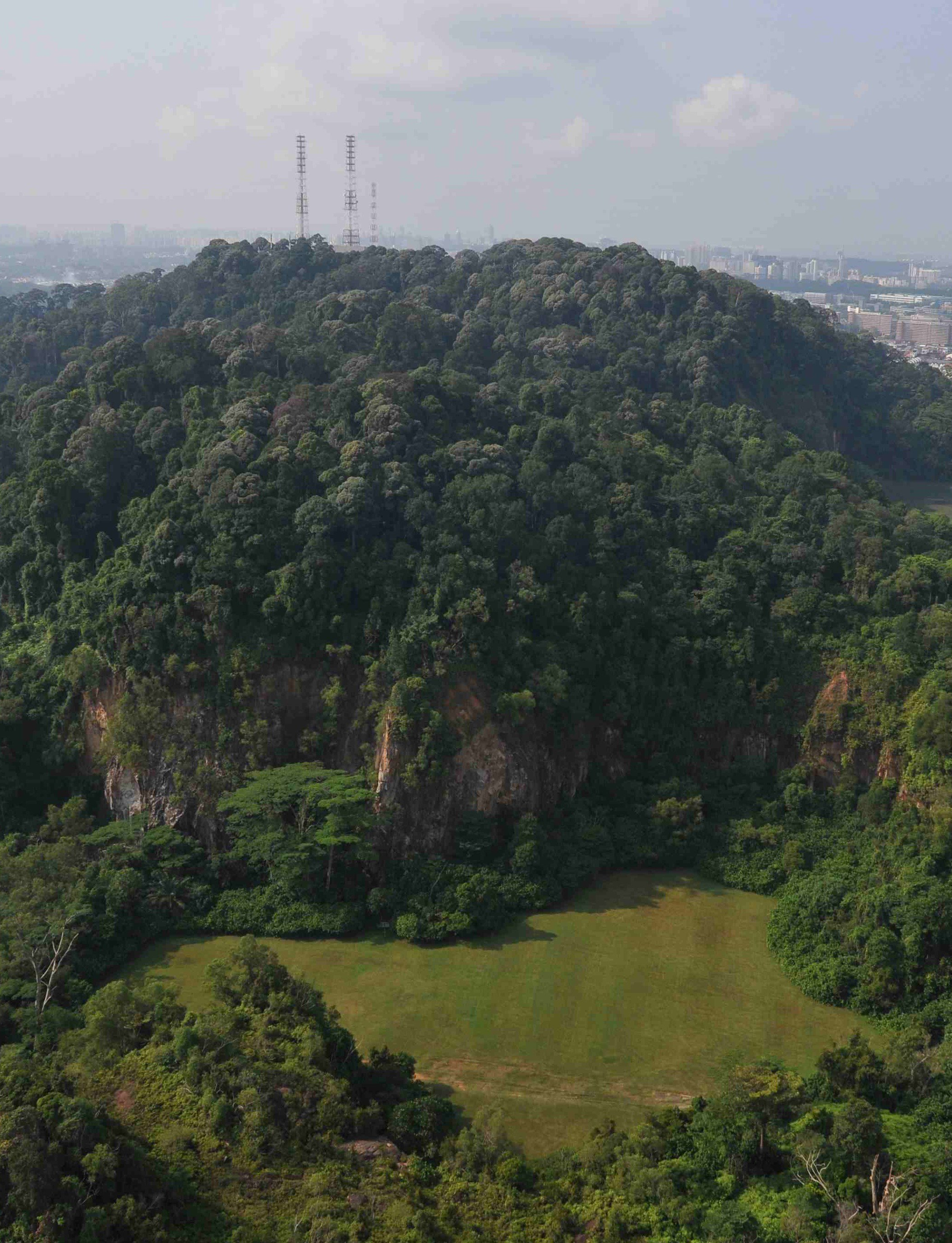 The Botany with spectacular view of Bukit Timah Nature Reserves